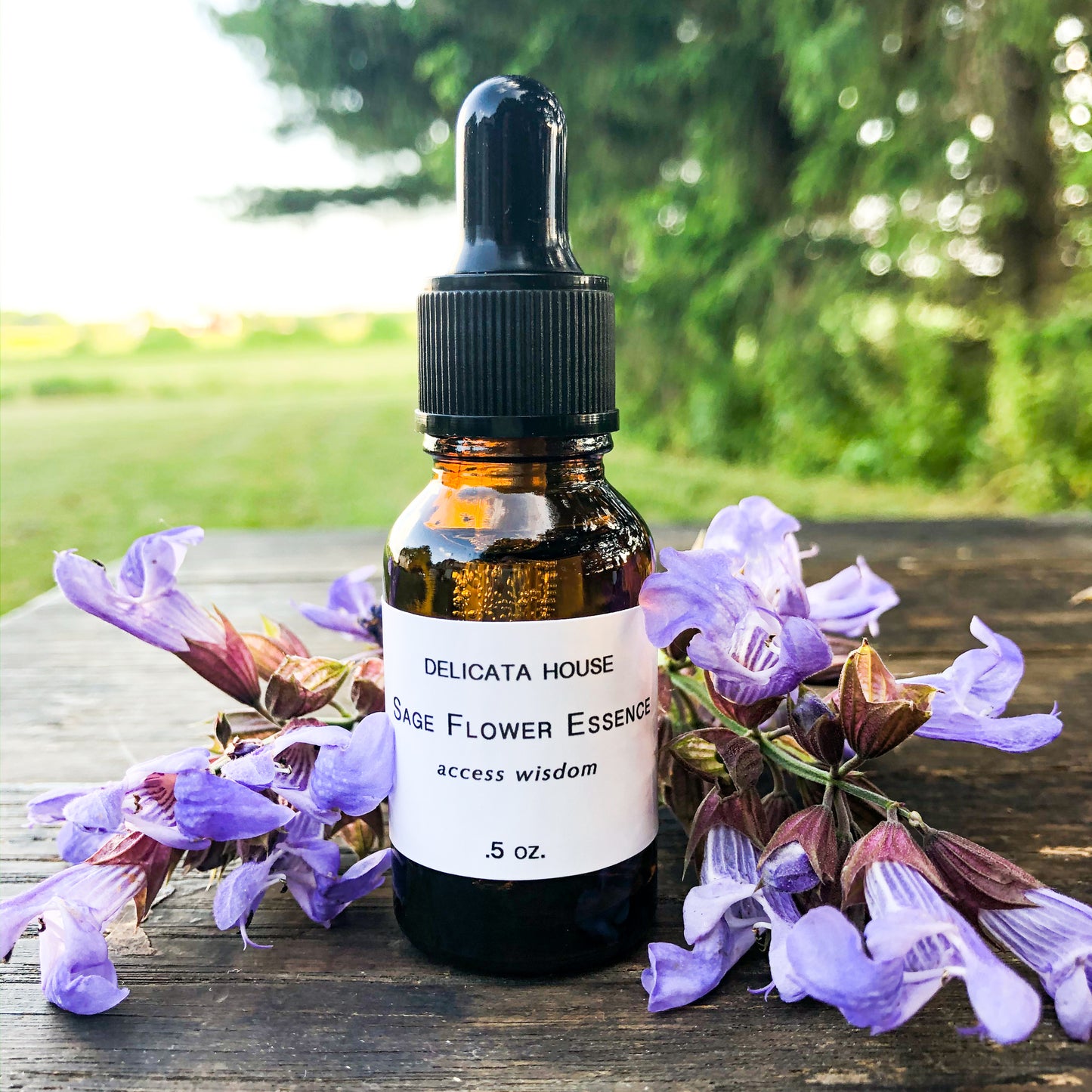 Sage Flower Essence - Flower Remedy - Flower Elixir - Access Wisdom - 6th Chakra - Third Eye Chakra - Flower Essences