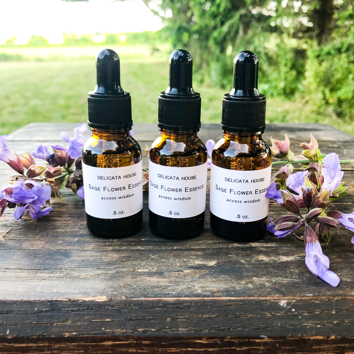 Sage Flower Essence - Flower Remedy - Flower Elixir - Access Wisdom - 6th Chakra - Third Eye Chakra - Flower Essences