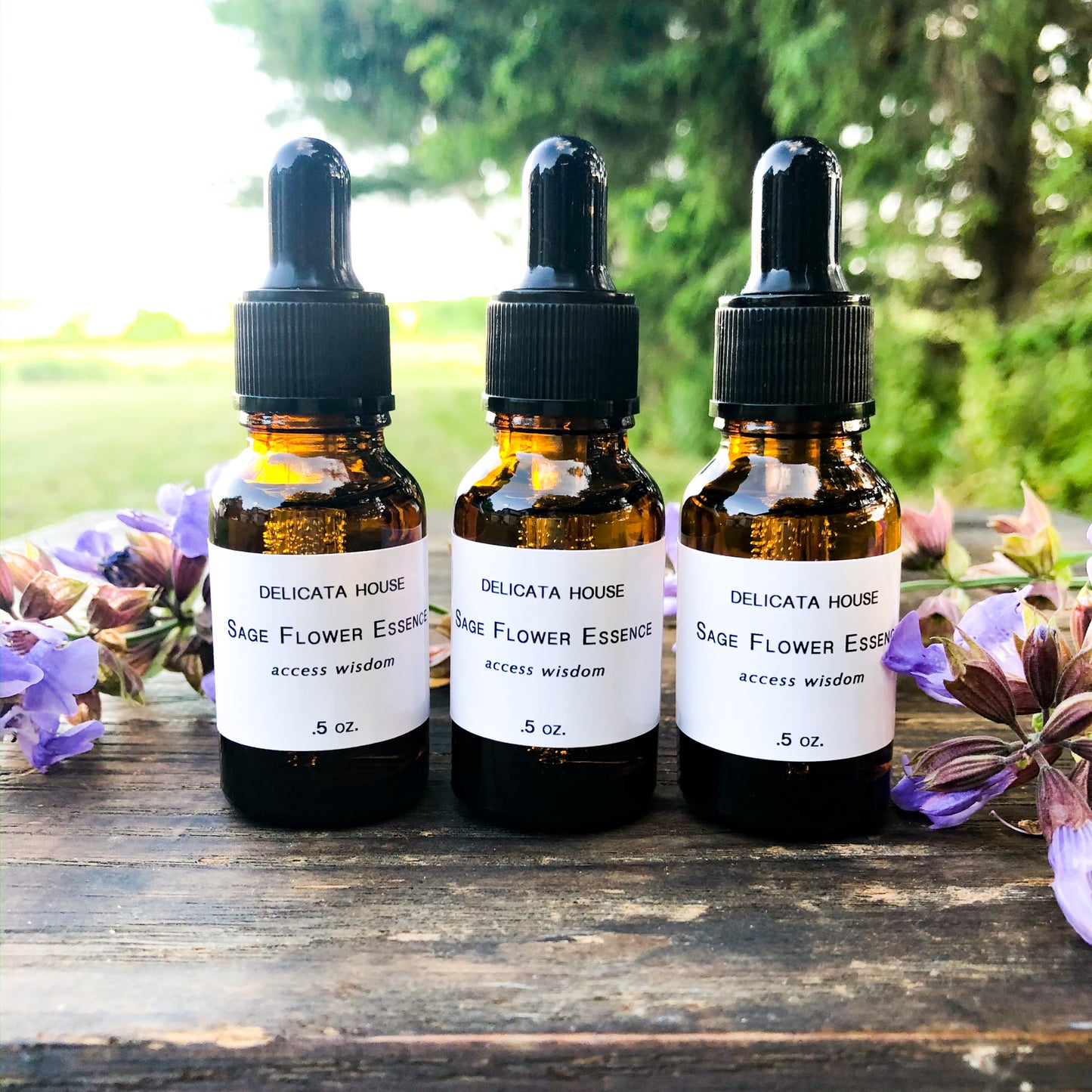 Sage Flower Essence - Flower Remedy - Flower Elixir - Access Wisdom - 6th Chakra - Third Eye Chakra - Flower Essences