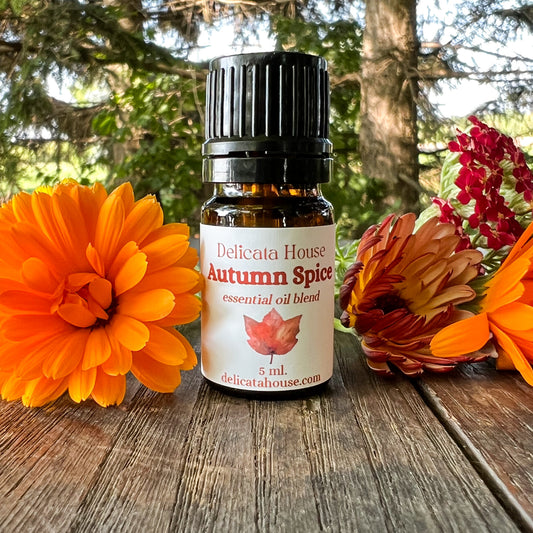 Autumn Spice Essential Oil Blend - Autumn Diffuser Blend - Fall Essential Oils Blend - Spicy Autumn Diffuser Blend