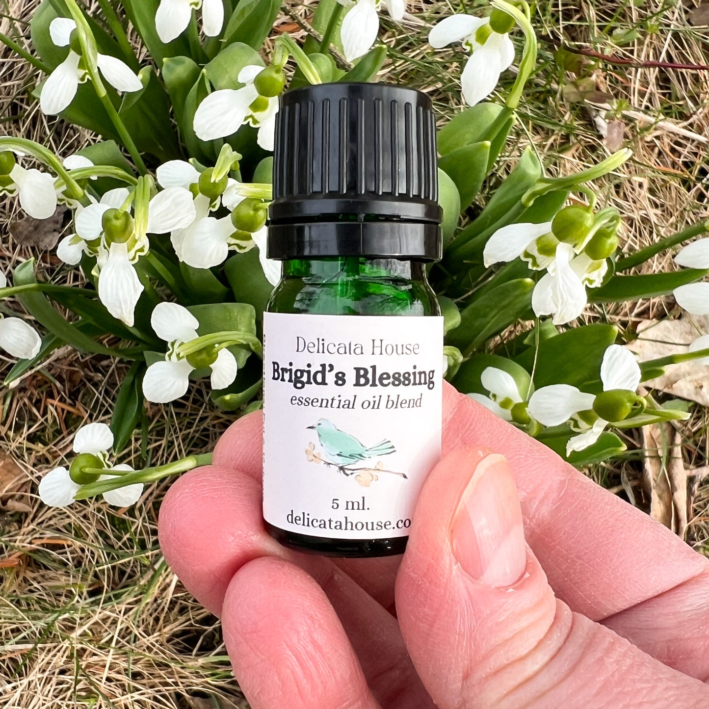 Brigid’s Blessing Essential Oil Diffuser Blend - Protective Essential Oil Blend