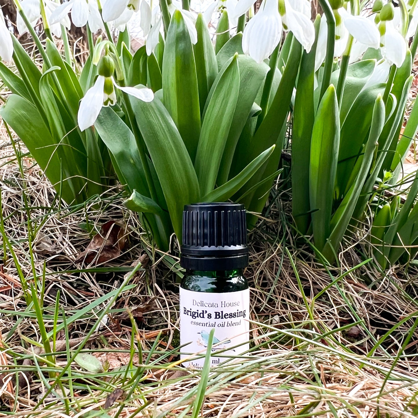 Brigid’s Blessing Essential Oil Diffuser Blend - Protective Essential Oil Blend