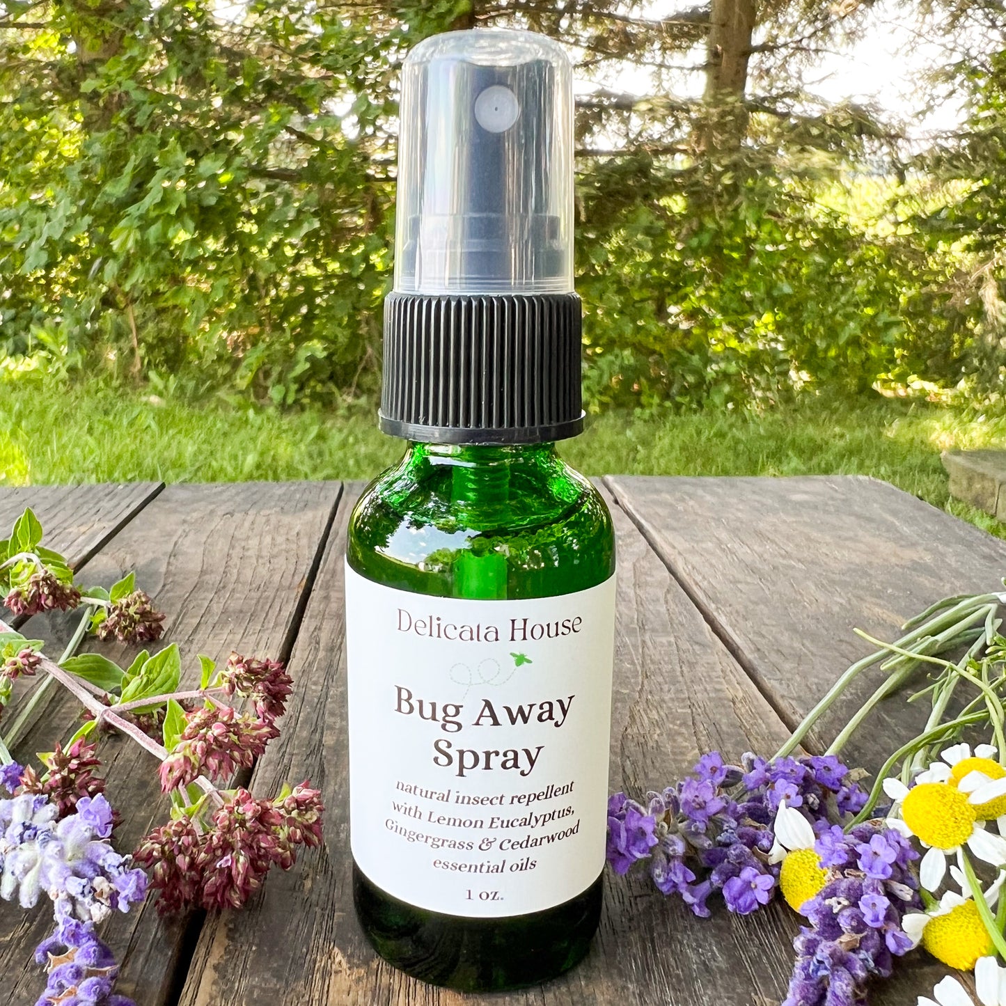 Bug Away Spray - Insect Repellent - Bug Spray - Natural Insect Repellent