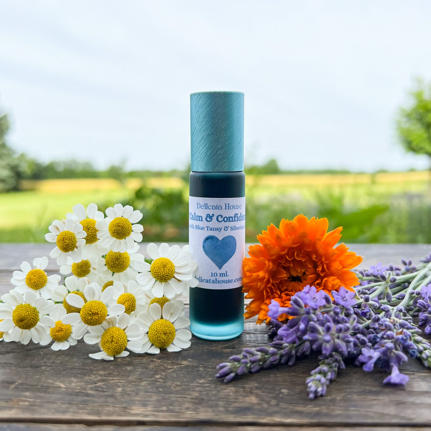 Calm & Confident Roller - with Blue Tansy & Siberian Fir