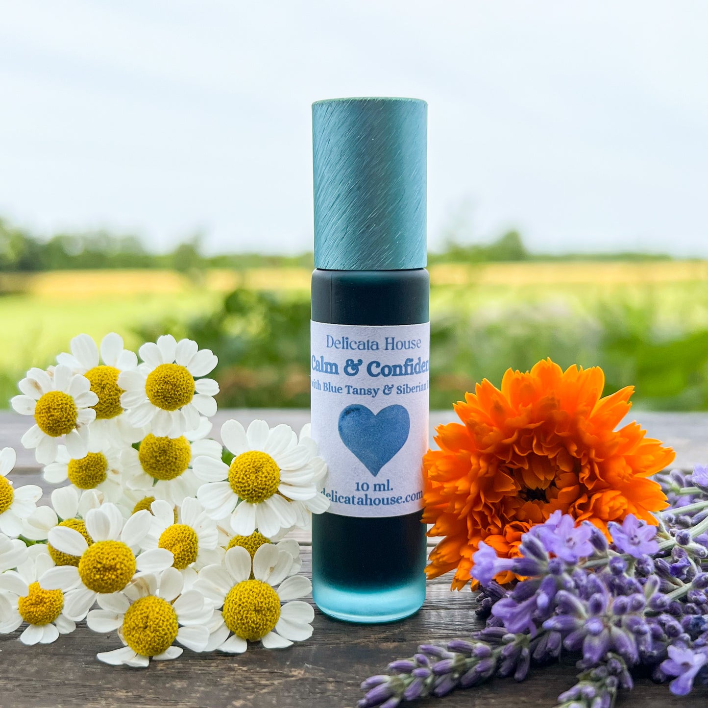 Calm & Confident Roller - with Blue Tansy & Siberian Fir