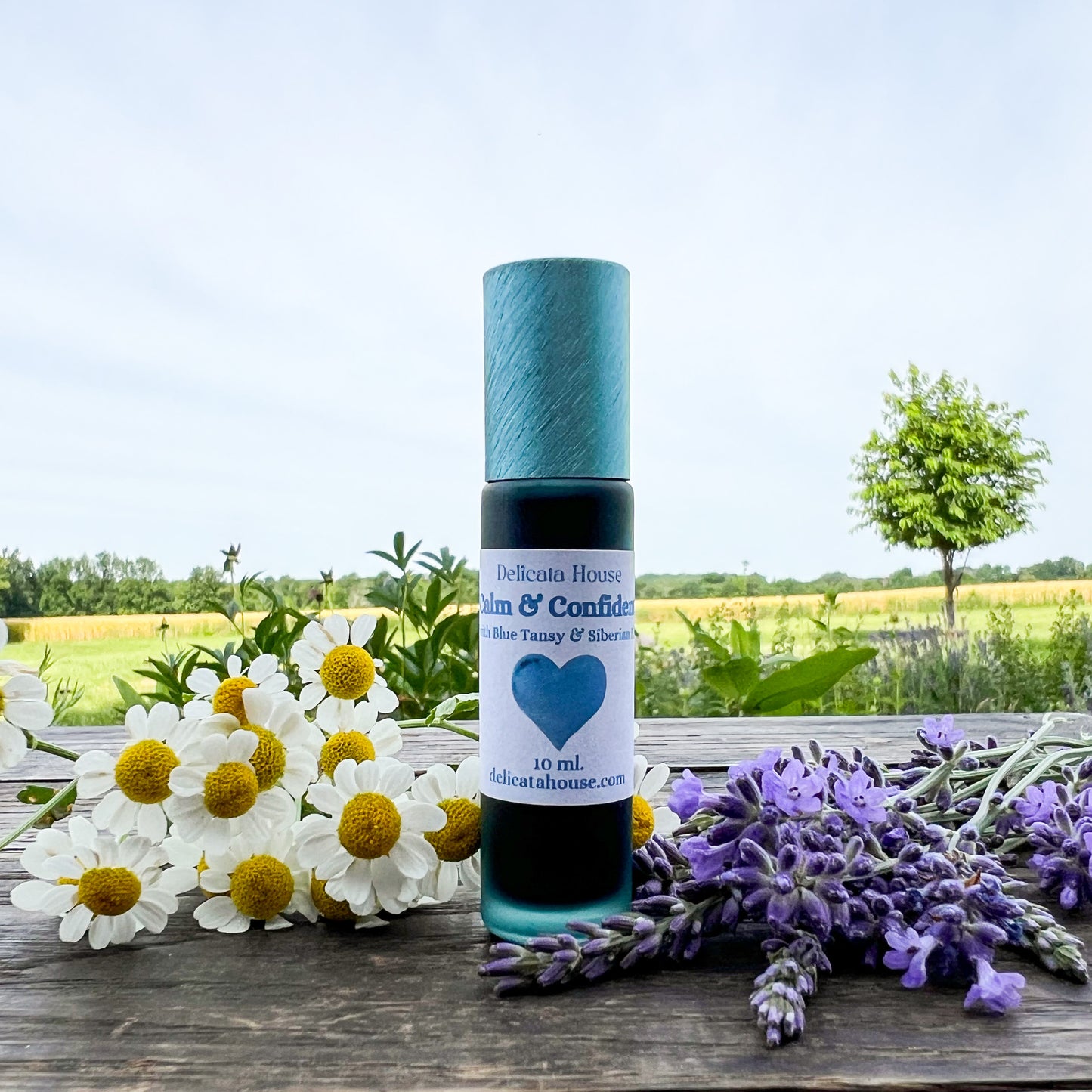 Calm & Confident Roller - with Blue Tansy & Siberian Fir