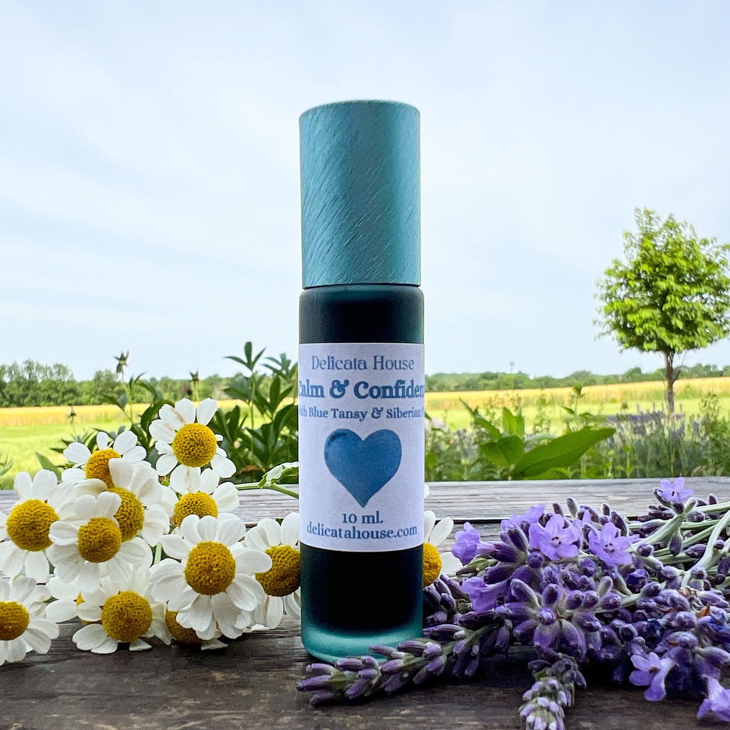 Calm & Confident Roller - with Blue Tansy & Siberian Fir