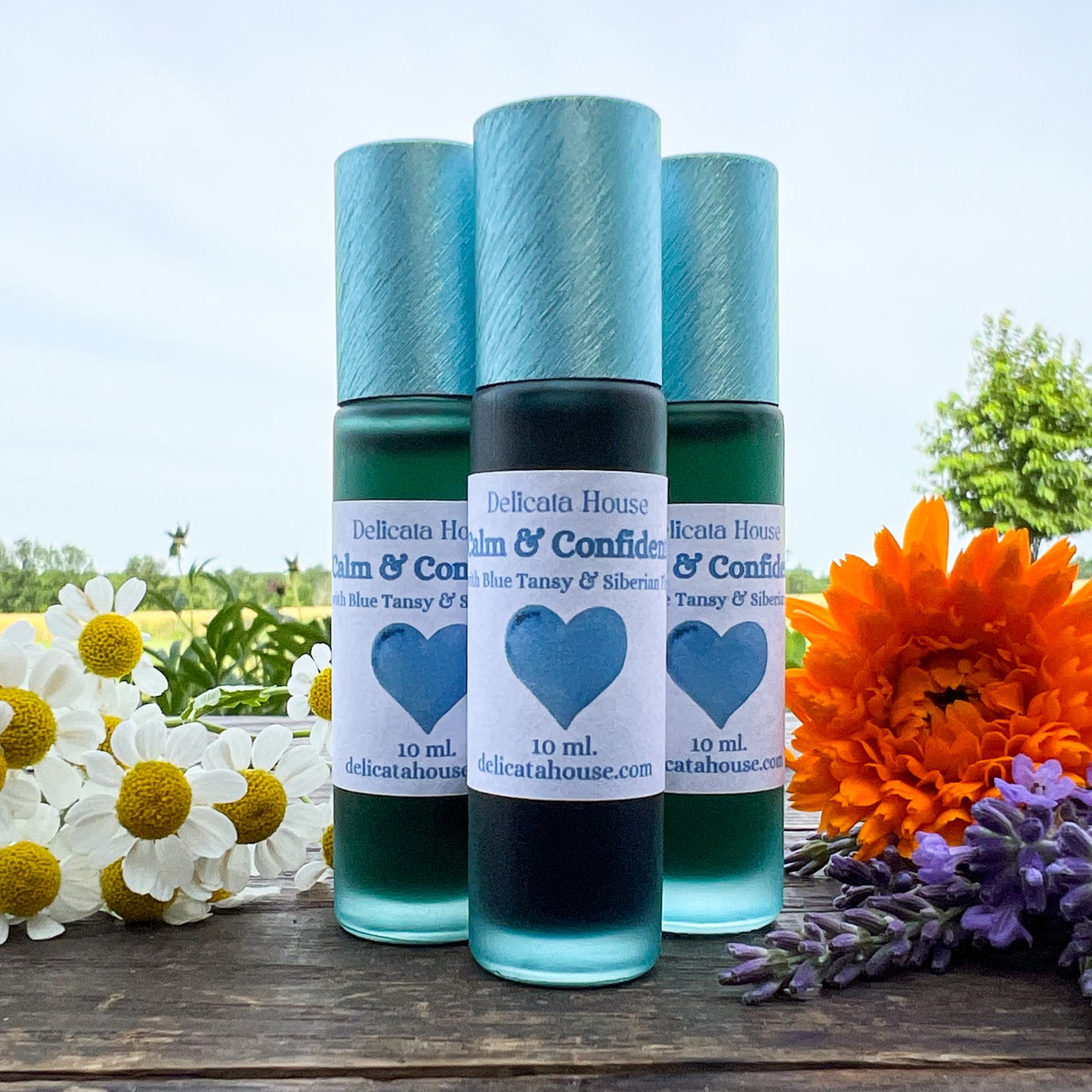 Calm & Confident Roller - with Blue Tansy & Siberian Fir