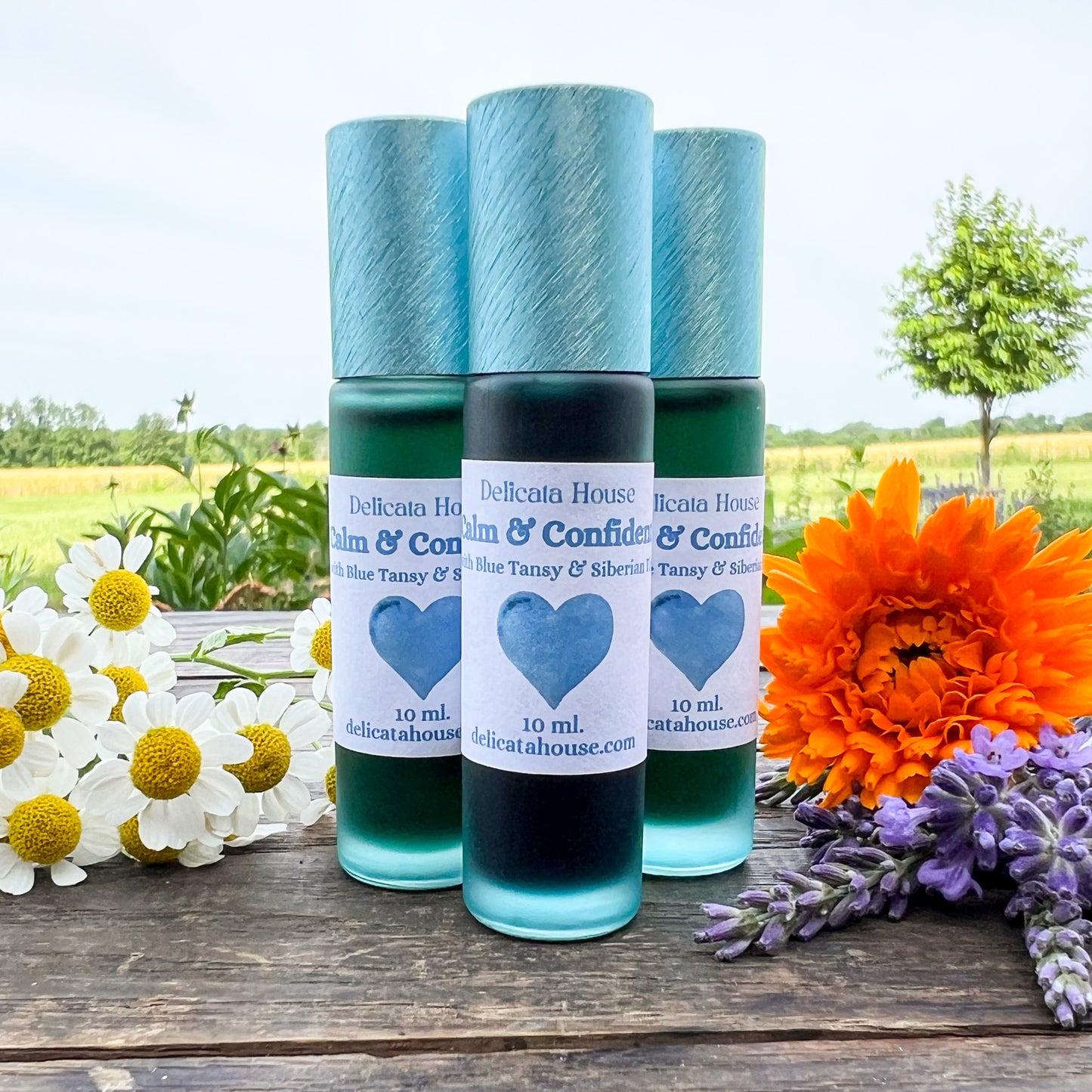 Calm & Confident Roller - with Blue Tansy & Siberian Fir