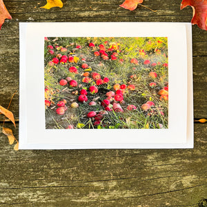 Apples Note Card - Blank Photography Card - Fall Greeting Card - Apple Card - Blank Note Card