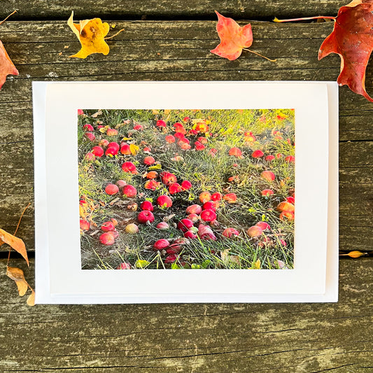 Apples Note Card - Blank Photography Card - Fall Greeting Card - Apple Card - Blank Note Card