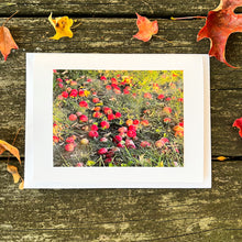Load image into Gallery viewer, Apples Note Card - Blank Photography Card - Fall Greeting Card - Apple Card - Blank Note Card
