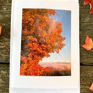 Orange Maple Note Card - Blank Photography Card - Fall Greeting Card - Maple Card - Blank Note Card