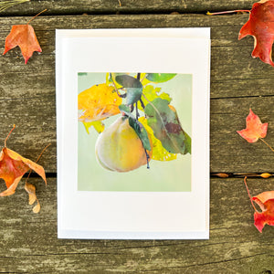 Quince Note Card - Blank Photography Card - Fall Greeting Card - Quince Card - Blank Note Card