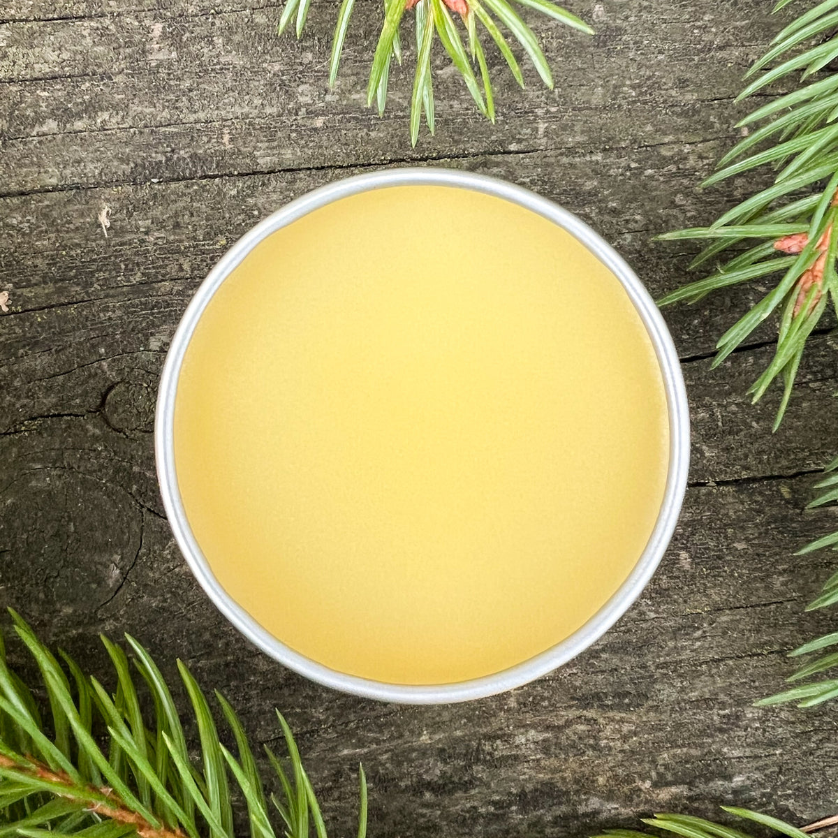 Rub Container White Breathe Well Chest Rub with White Spruce, Scots Pine & Bay Laurel - de ...