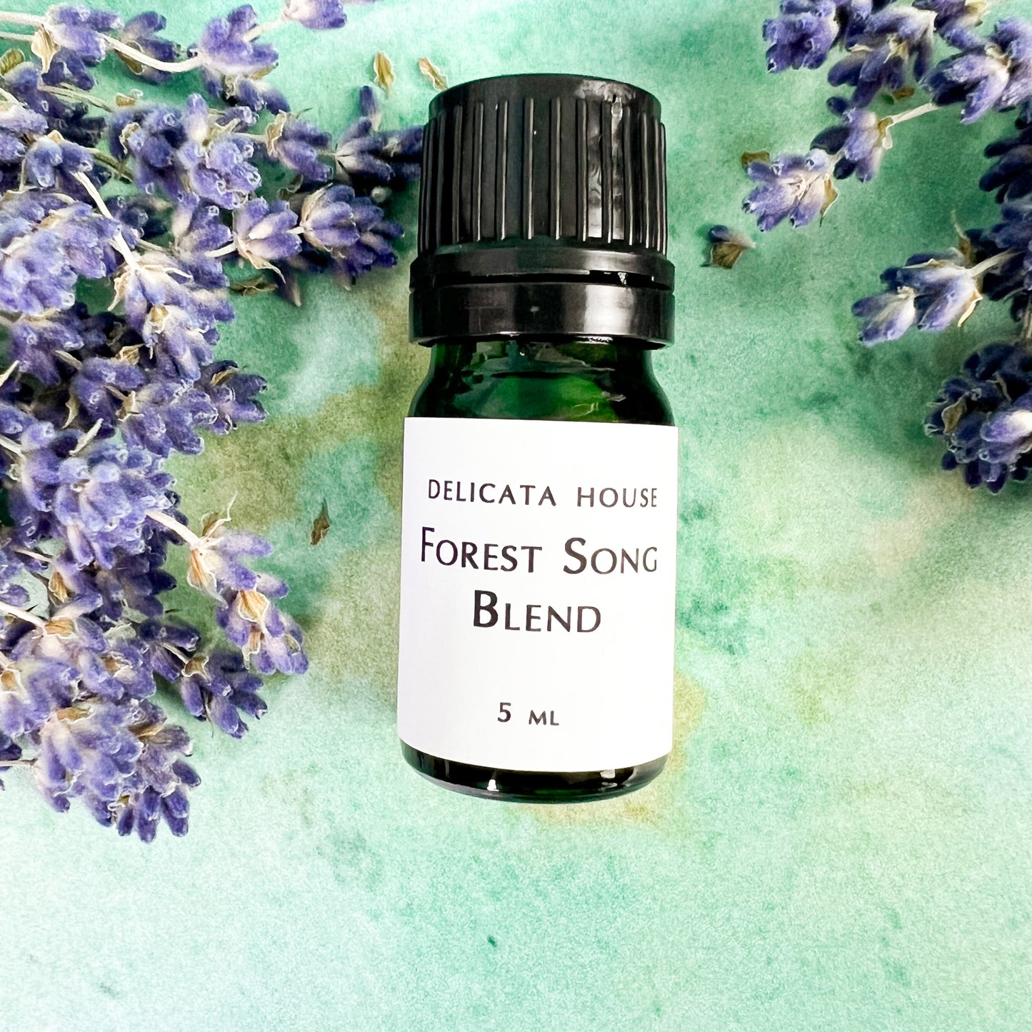 Aromatherapy Blend - Forest Song Aromatherapy Diffuser Blend - Woodsy Aromatherapy Diffuser Blend - Aromatherapy for Respiratory Wellness and Immune Boosting