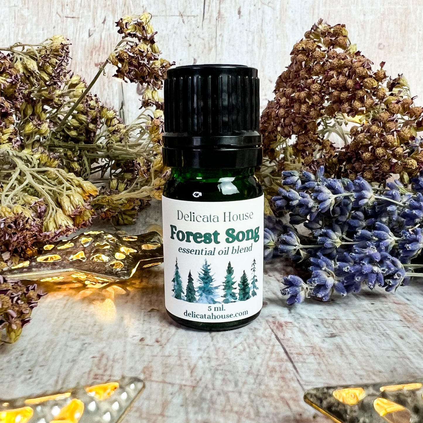 Forest Song Aromatherapy Diffuser Blend - Woodsy Aromatherapy Essential Oil Blend - Aromatherapy for Respiratory Wellness and Immune Boosting