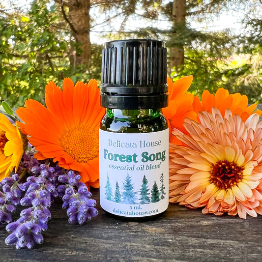 Forest Song Aromatherapy Diffuser Blend - Woodsy Aromatherapy Essential Oil Blend - Aromatherapy for Respiratory Wellness and Immune Boosting