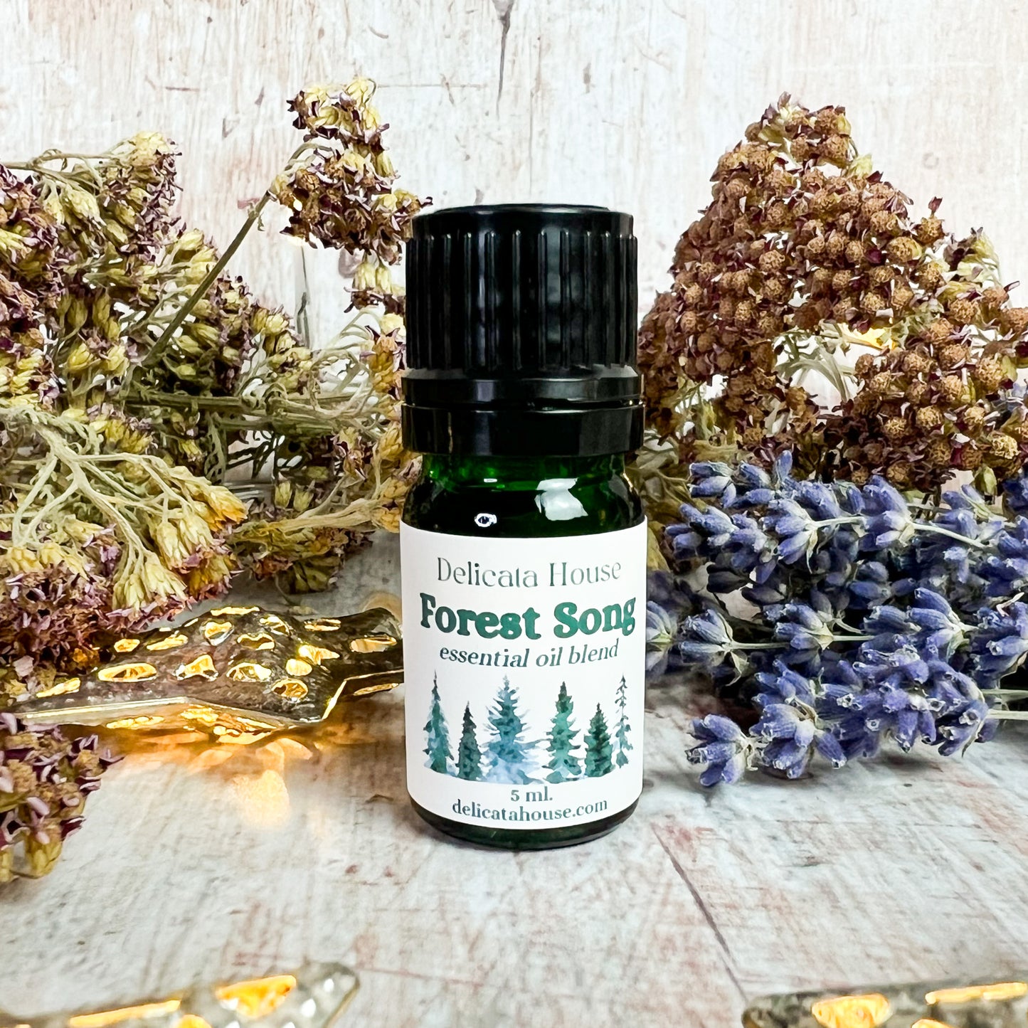 Forest Song Aromatherapy Diffuser Blend - Woodsy Aromatherapy Essential Oil Blend - Aromatherapy for Respiratory Wellness and Immune Boosting