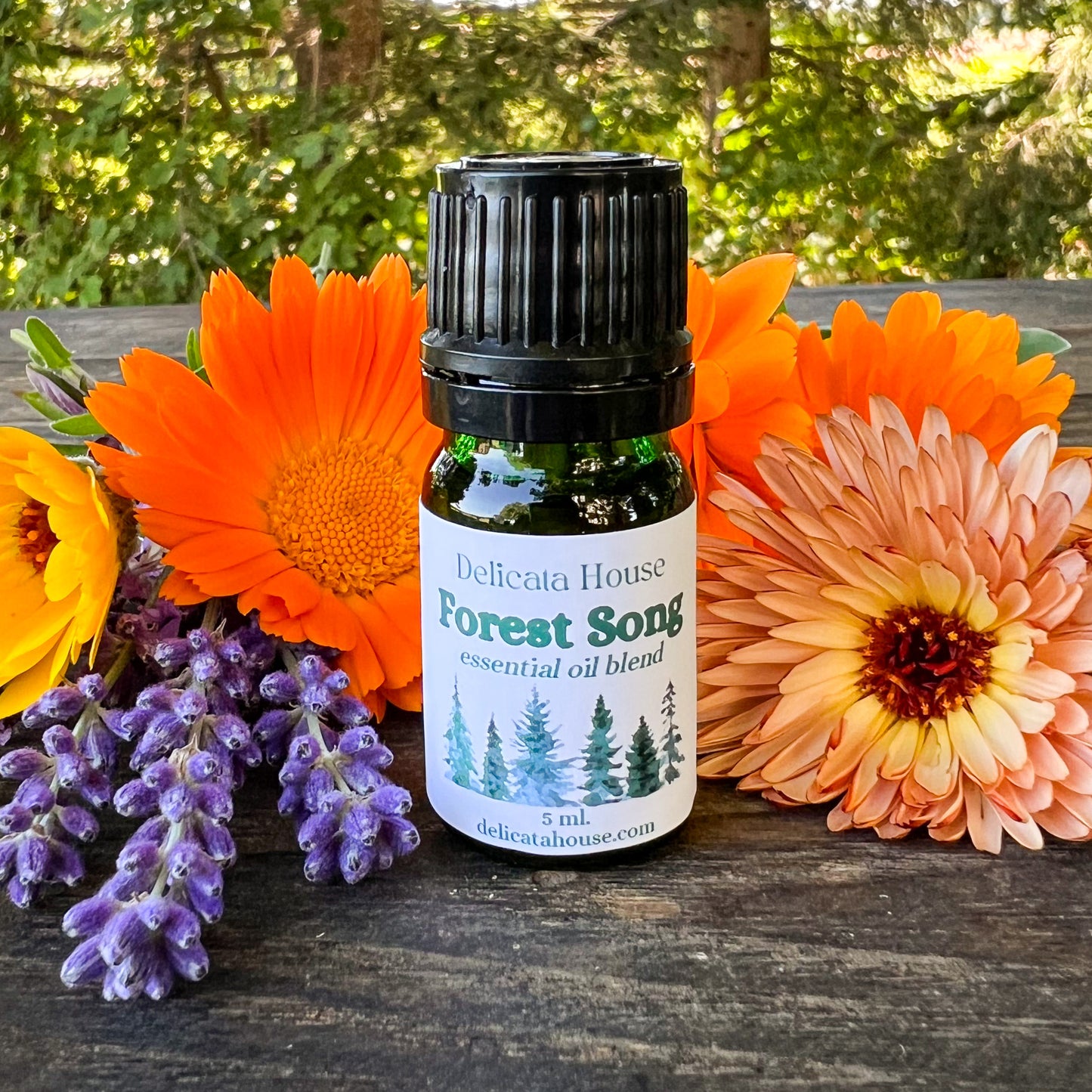 Forest Song Aromatherapy Diffuser Blend - Woodsy Aromatherapy Essential Oil Blend - Aromatherapy for Respiratory Wellness and Immune Boosting