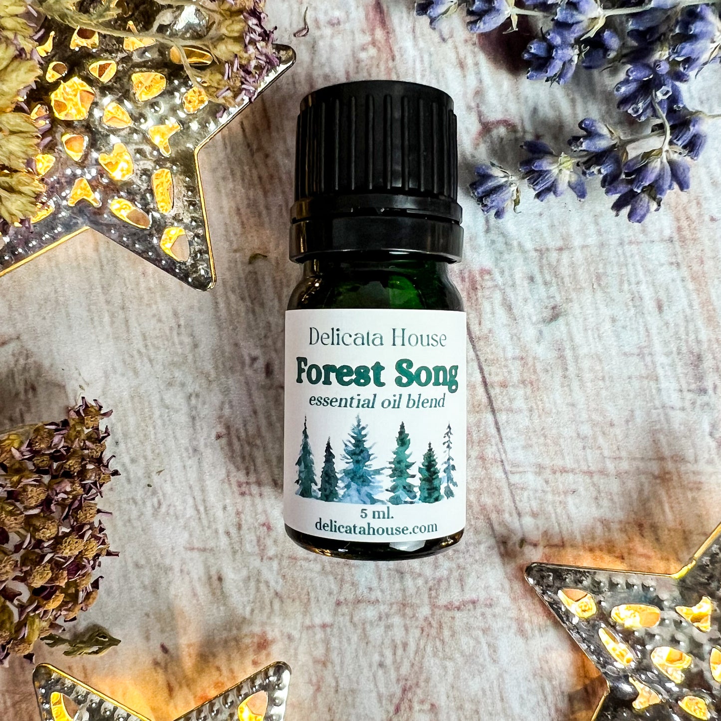 Forest Song Aromatherapy Diffuser Blend - Woodsy Aromatherapy Essential Oil Blend - Aromatherapy for Respiratory Wellness and Immune Boosting