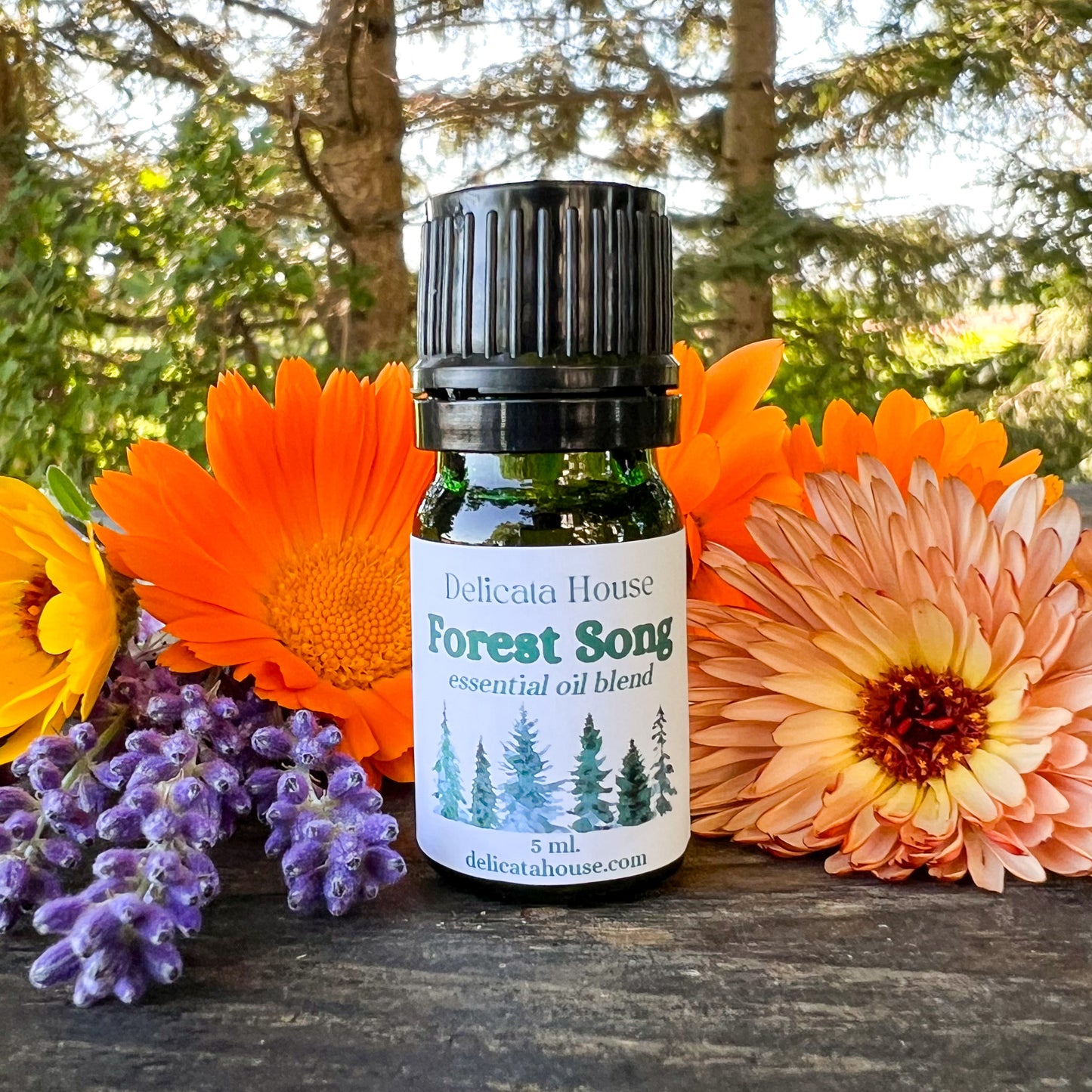 Forest Song Aromatherapy Diffuser Blend - Woodsy Aromatherapy Essential Oil Blend - Aromatherapy for Respiratory Wellness and Immune Boosting