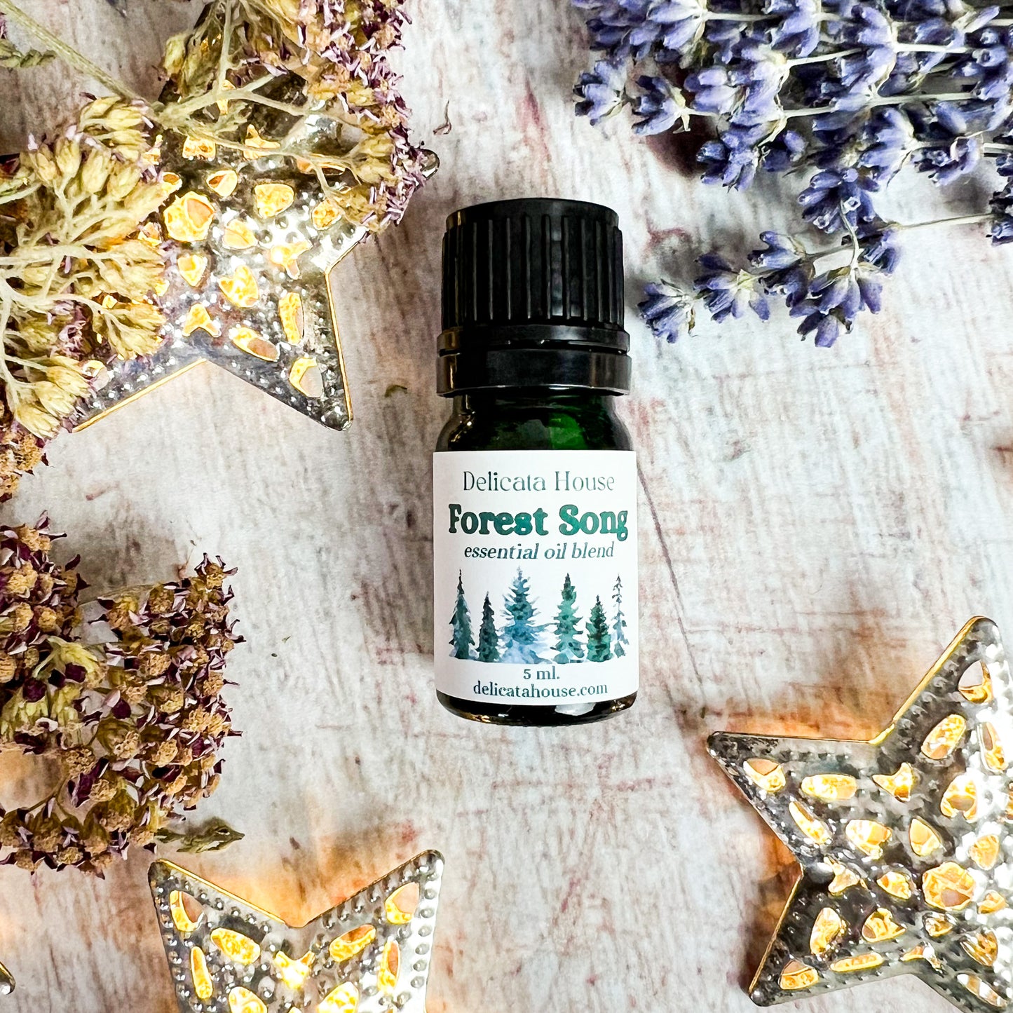 Forest Song Aromatherapy Diffuser Blend - Woodsy Aromatherapy Essential Oil Blend - Aromatherapy for Respiratory Wellness and Immune Boosting