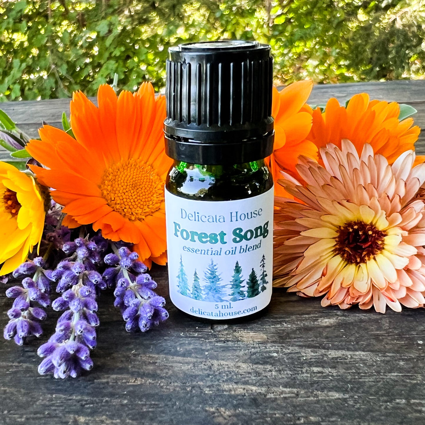 Forest Song Aromatherapy Diffuser Blend - Woodsy Aromatherapy Essential Oil Blend - Aromatherapy for Respiratory Wellness and Immune Boosting