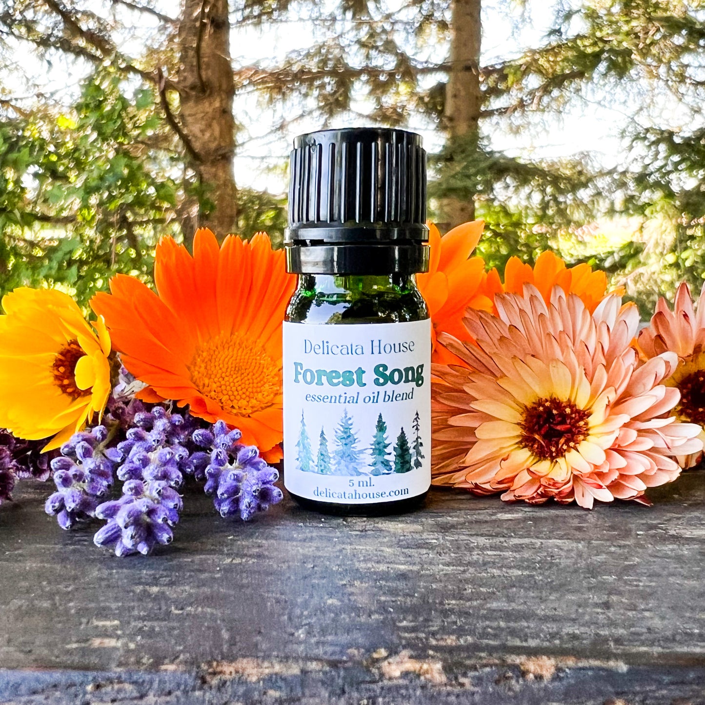 Forest Song Aromatherapy Diffuser Blend - Woodsy Aromatherapy Essential Oil Blend - Aromatherapy for Respiratory Wellness and Immune Boosting