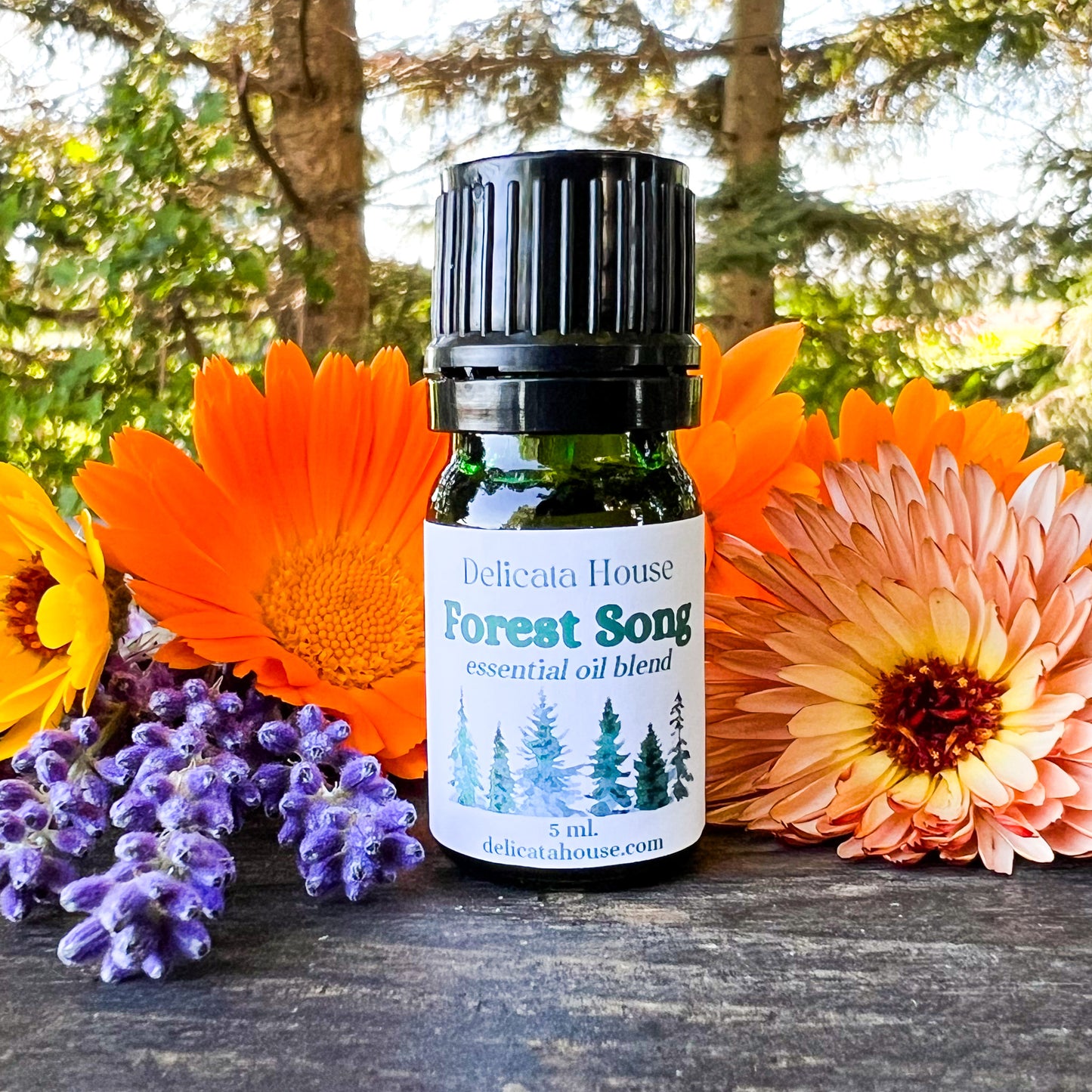 Forest Song Aromatherapy Diffuser Blend - Woodsy Aromatherapy Essential Oil Blend - Aromatherapy for Respiratory Wellness and Immune Boosting