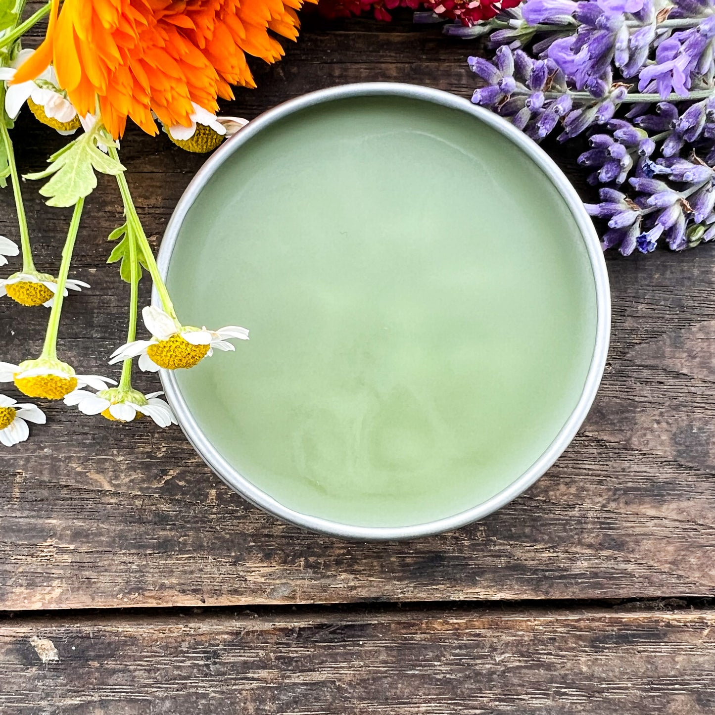 Garden Fairy Healing Hand Salve - with Calendula & Lavender Infused herbal oil, Tamanu oil, Blue Tansy, German Chamomile