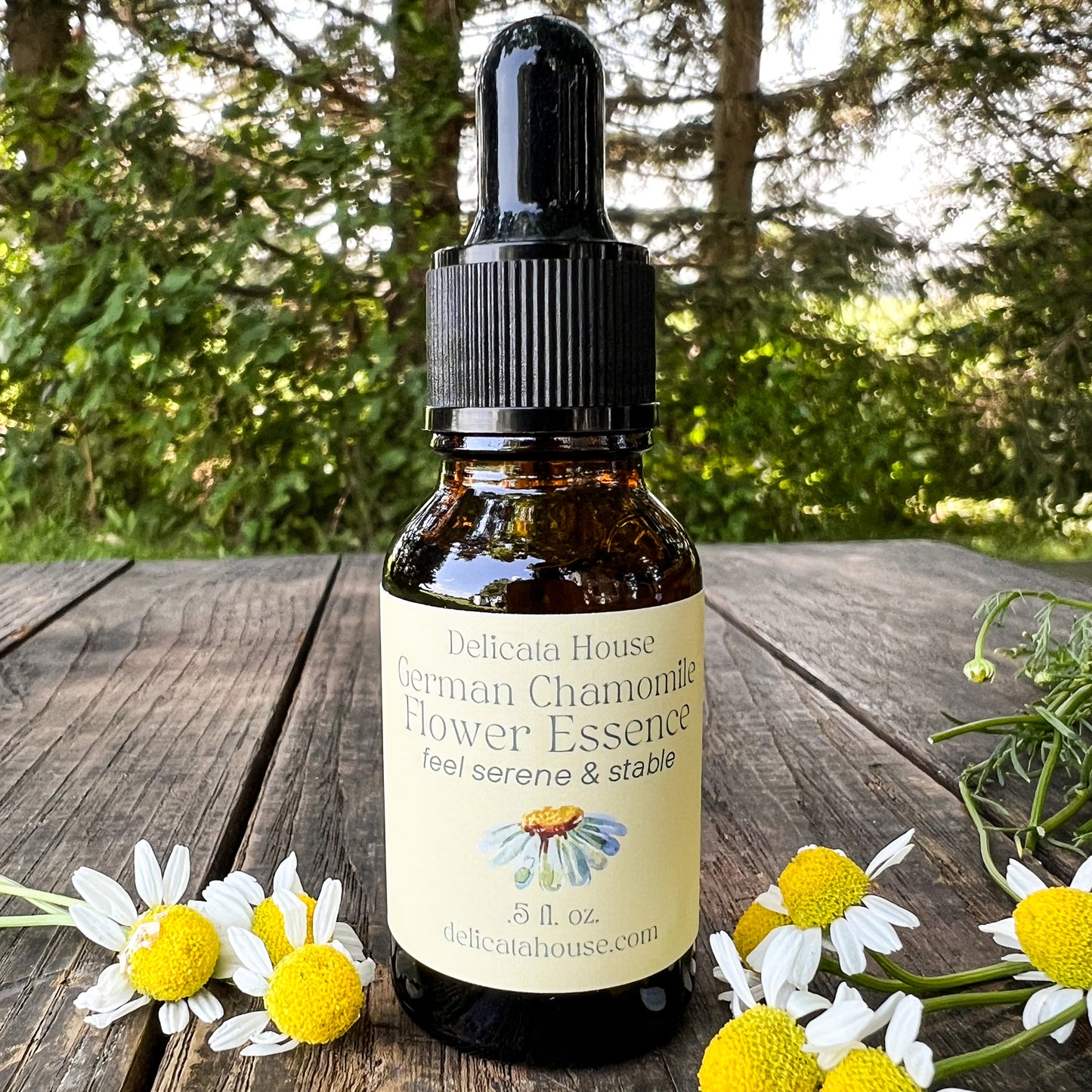 German Chamomile Flower Essence - Flower Essence for Serenity and Stability