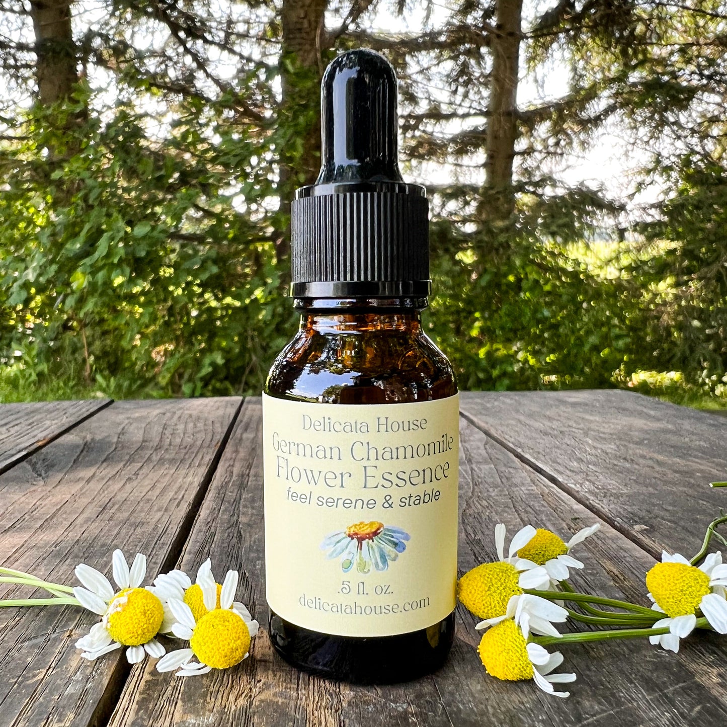 German Chamomile Flower Essence - Flower Essence for Serenity and Stability