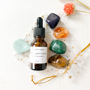 Good Fortune Flower Essence & Crystals Set - Attract Wealth, Abundance and Prosperity - Mindset Shift Set