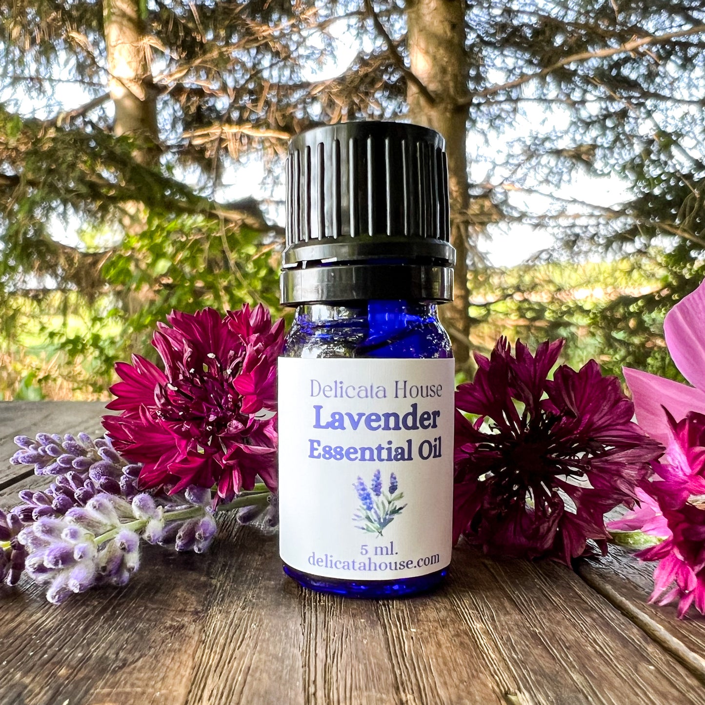 Lavender Essential Oil - Lavender Aromatherapy - Lavender Lover's Gift