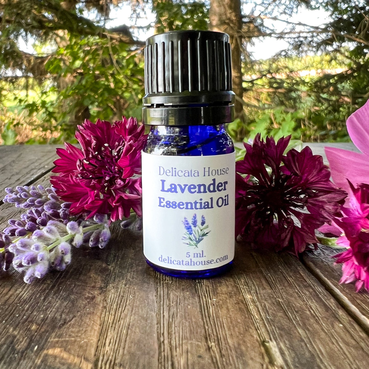 Lavender Essential Oil - Lavender Aromatherapy - Lavender Lover's Gift