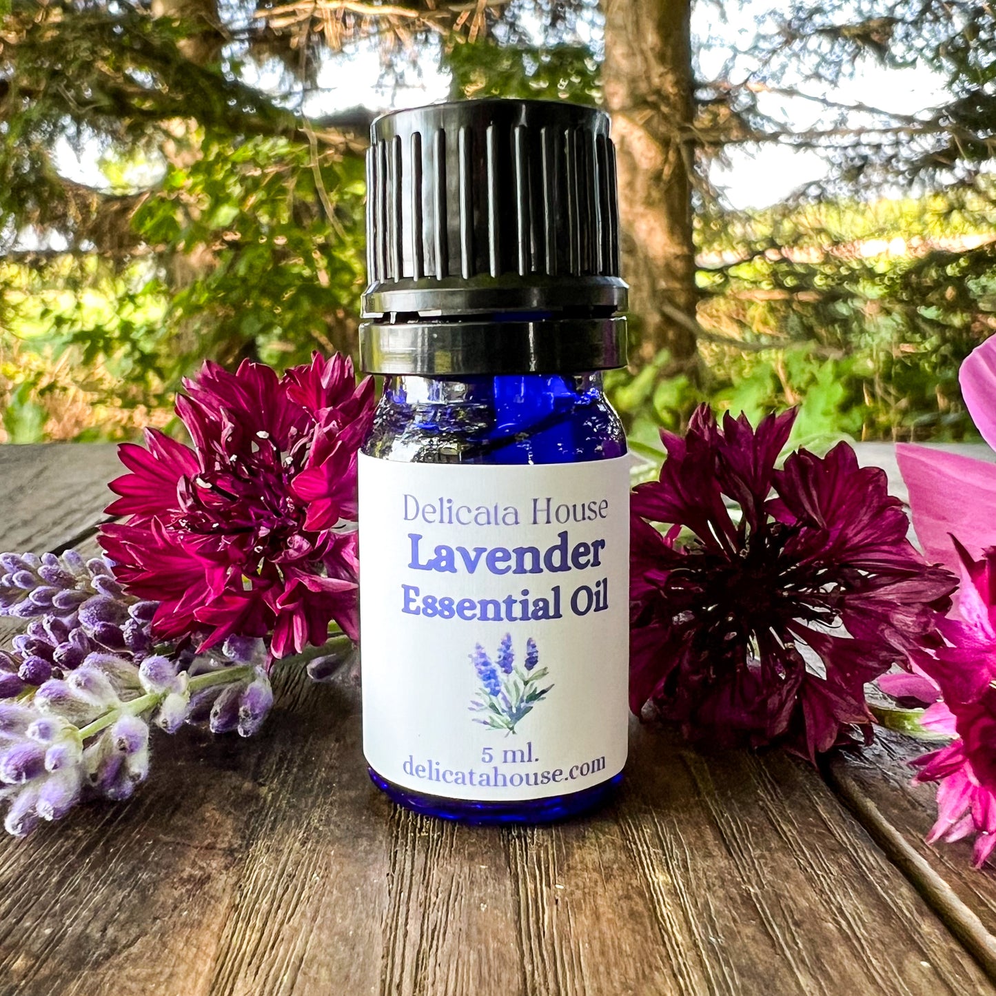 Lavender Essential Oil - Lavender Aromatherapy - Lavender Lover's Gift