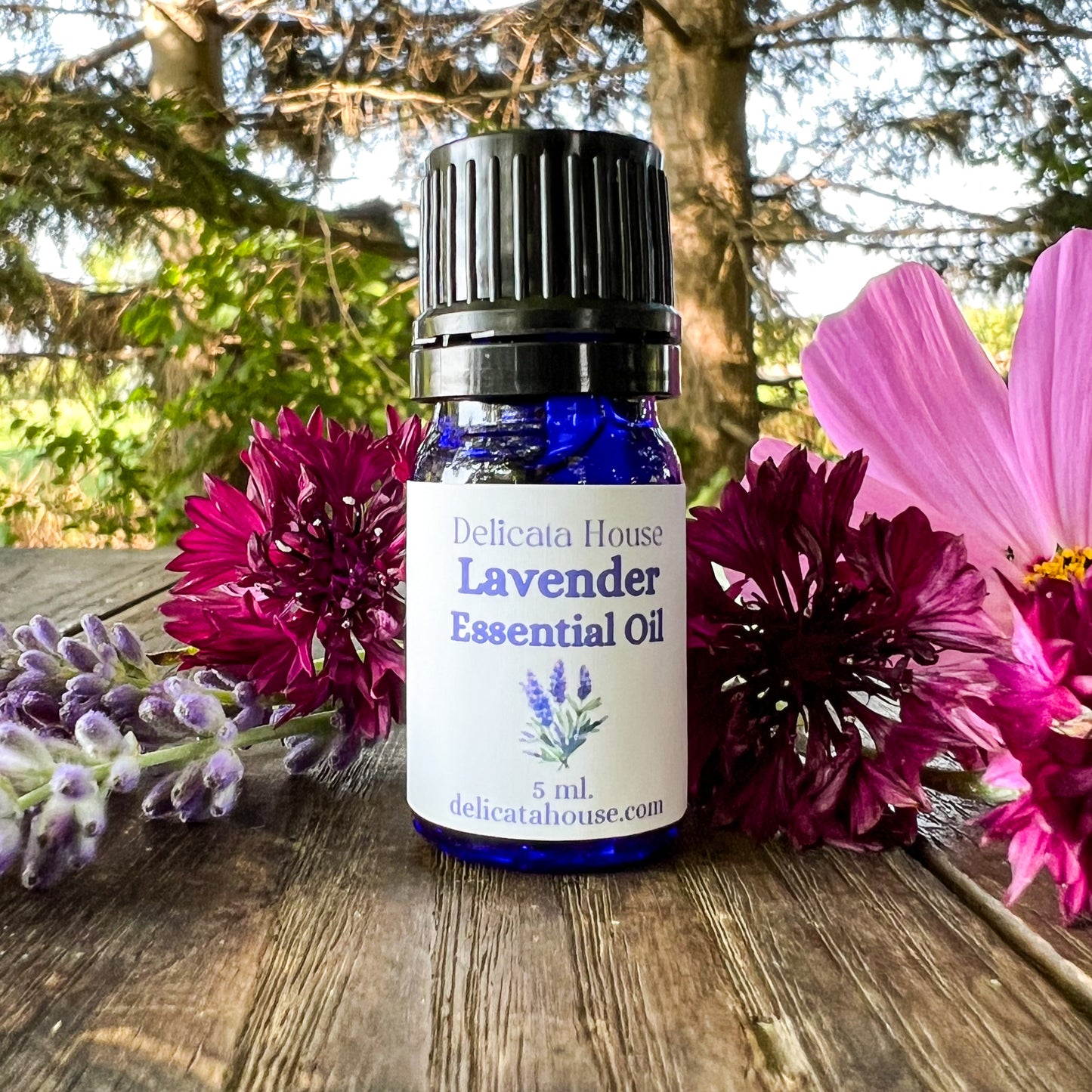 Lavender Essential Oil - Lavender Aromatherapy - Lavender Lover's Gift