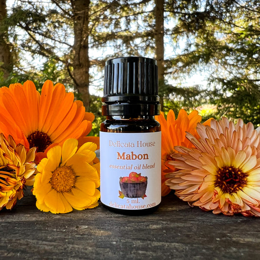 Mabon Aromatherapy Essential Oil Blend - Spicy Sweet Festive Aromatherapy Diffuser Blend - Fall Aromatherapy - Autumn Aromatherapy