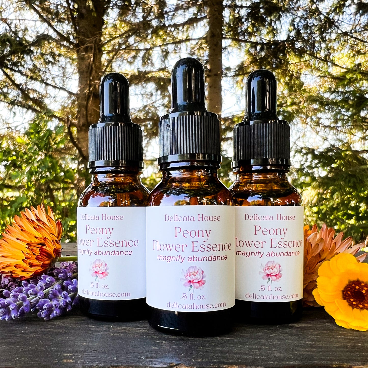 Peony Flower Essence - Flower Remedy - 1st Chakra Balancing - Root Chakra - Magnify Abundance -