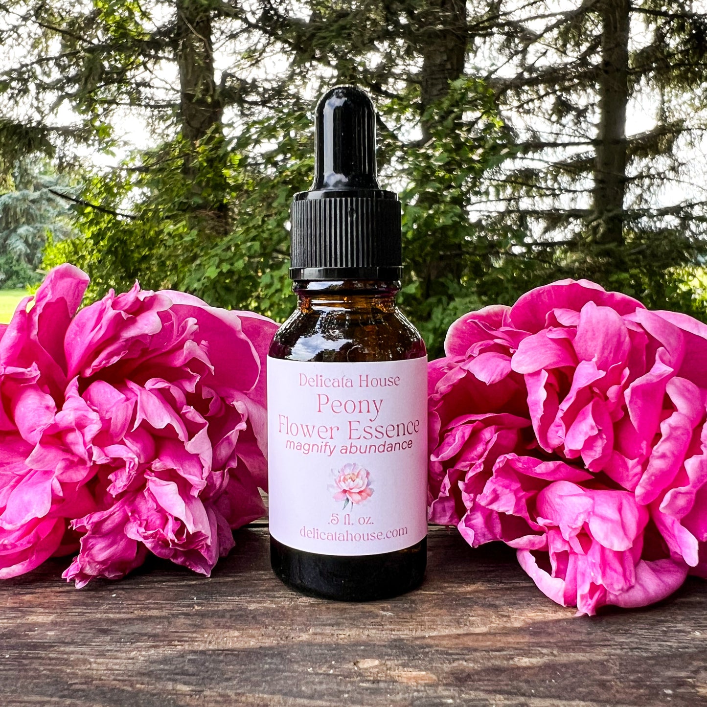 Peony Flower Essence - Flower Remedy - 1st Chakra Balancing - Root Chakra - Magnify Abundance -