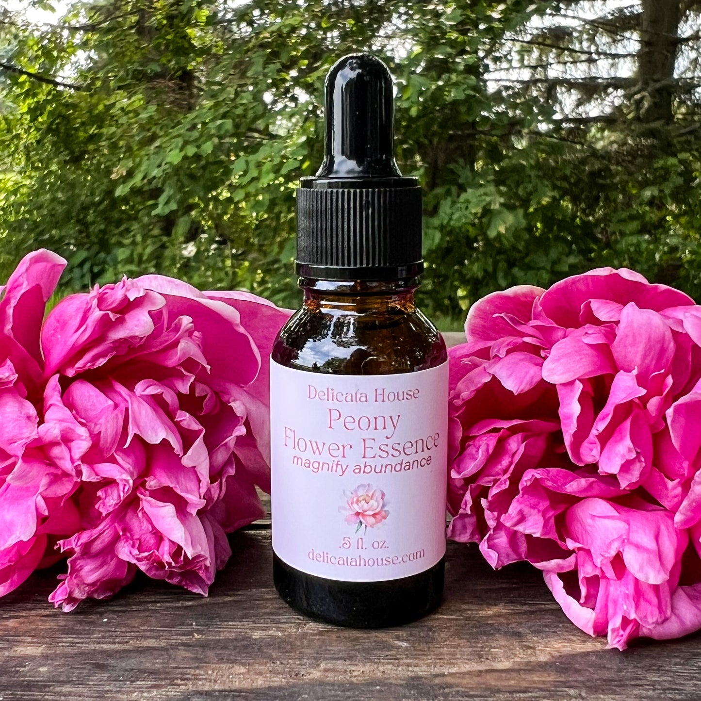 Peony Flower Essence - Flower Remedy - 1st Chakra Balancing - Root Chakra - Magnify Abundance -