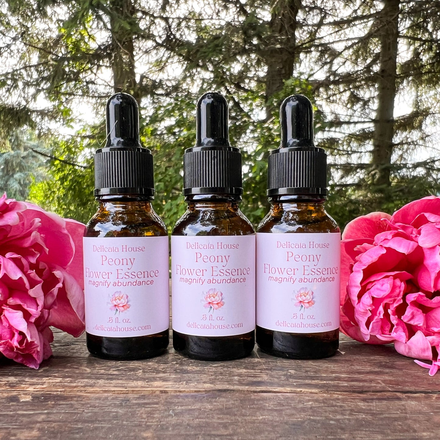 Peony Flower Essence - Flower Remedy - 1st Chakra Balancing - Root Chakra - Magnify Abundance -