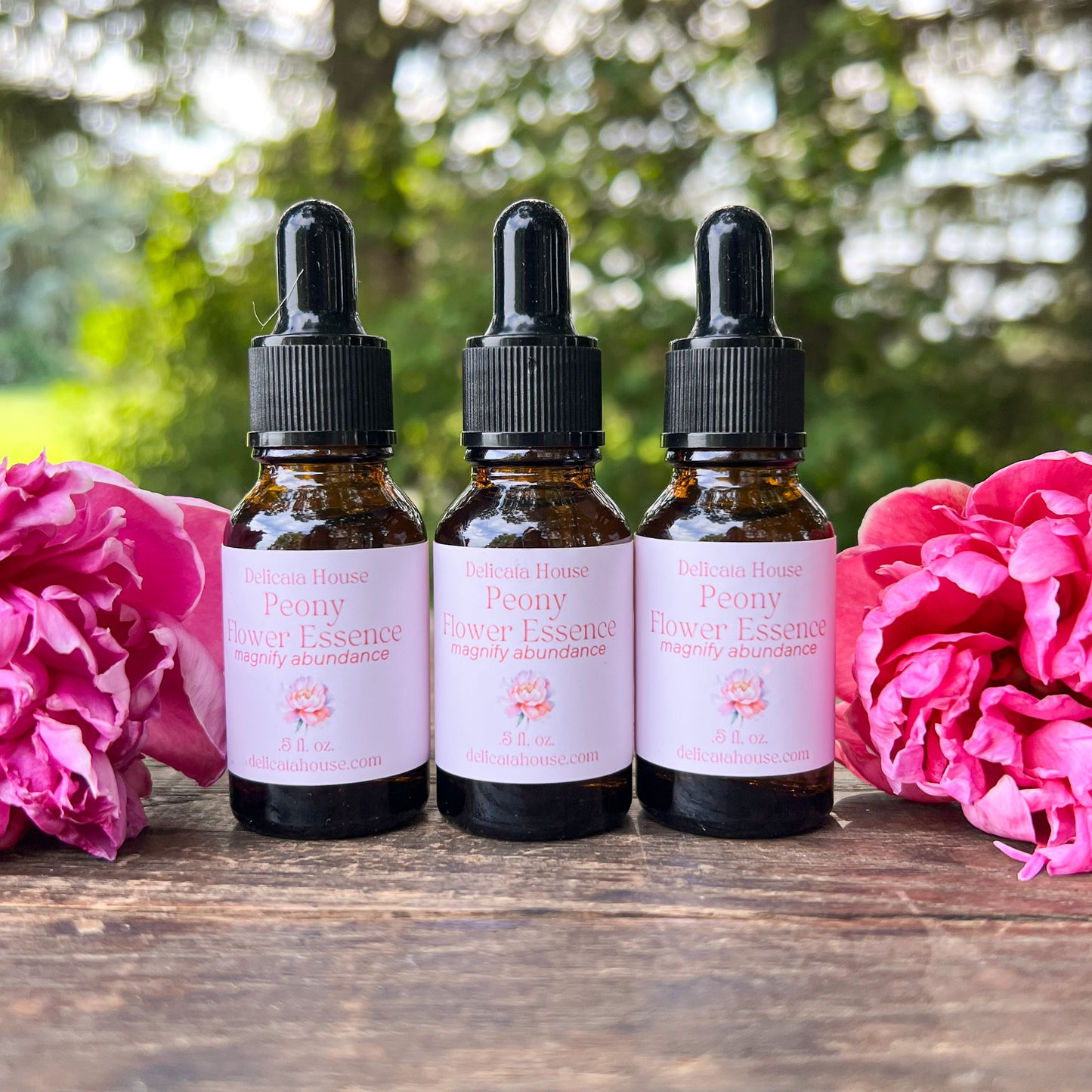 Peony Flower Essence - Flower Remedy - 1st Chakra Balancing - Root Chakra - Magnify Abundance -