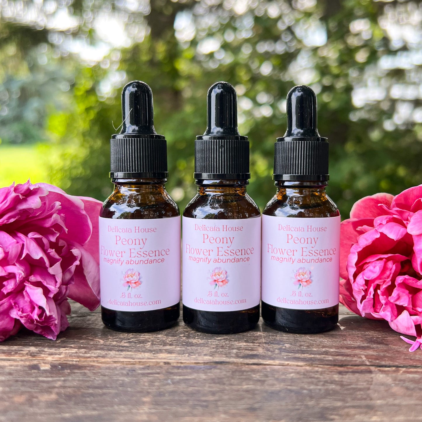 Peony Flower Essence - Flower Remedy - 1st Chakra Balancing - Root Chakra - Magnify Abundance -