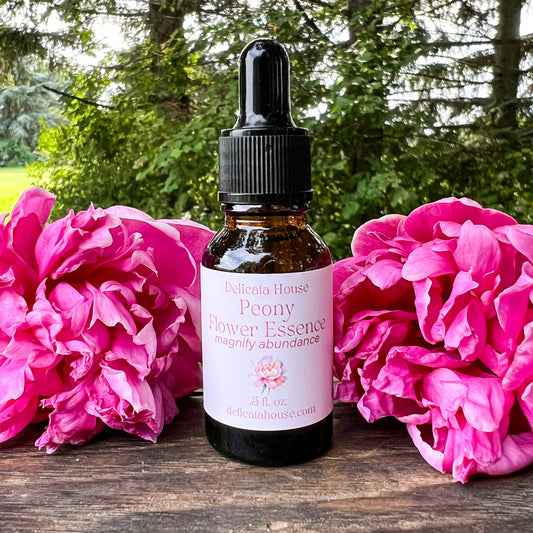 Peony Flower Essence - Flower Remedy - 1st Chakra Balancing - Root Chakra - Magnify Abundance -