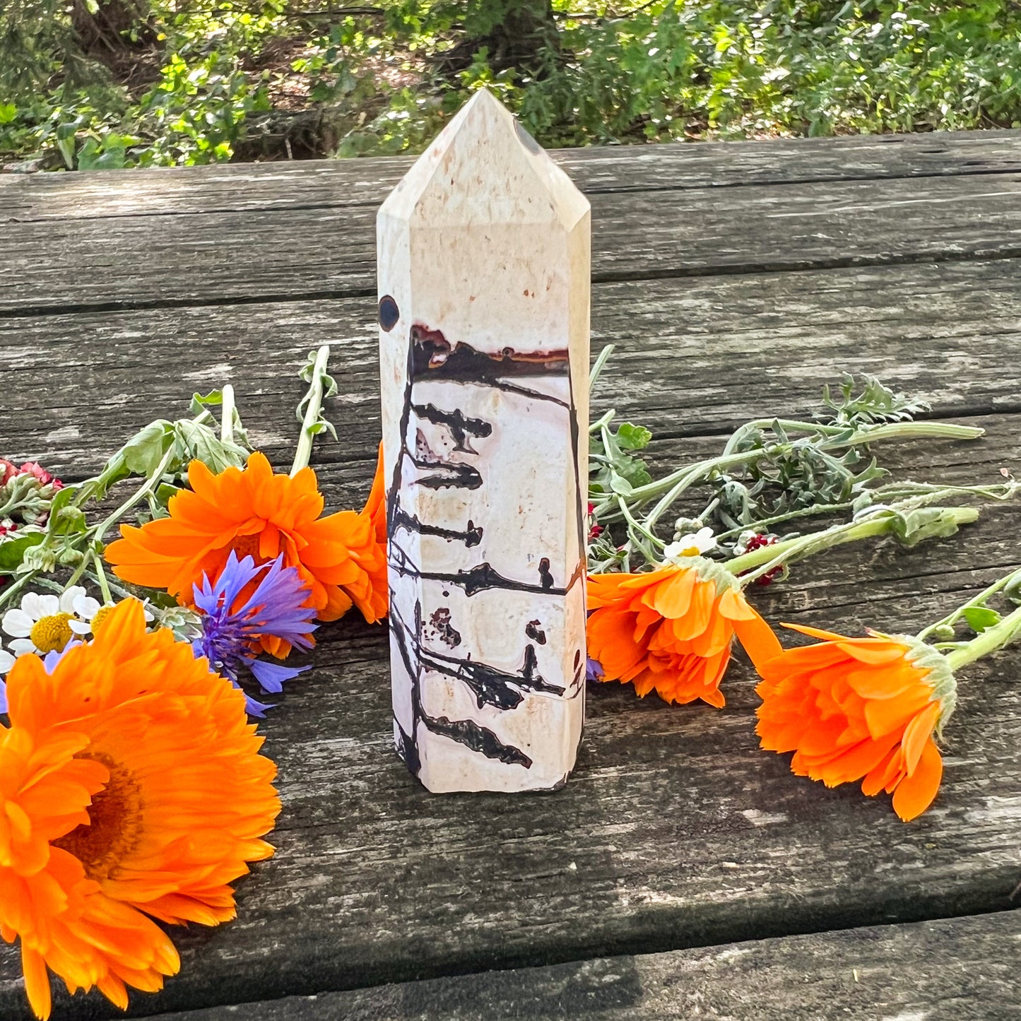 Picture Jasper Crystal Tower - Nurturing Crystal - Grounding Crystal - Comforting Gemstone