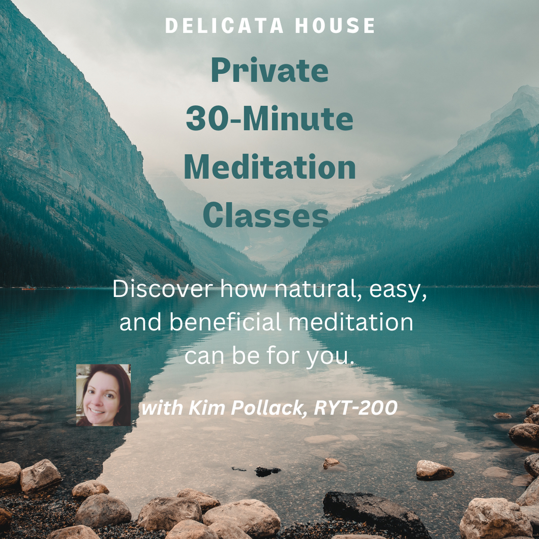 Private Meditation 30 Minute Each 4-Class Pack on Zoom - One-on-One Meditation Classes -
