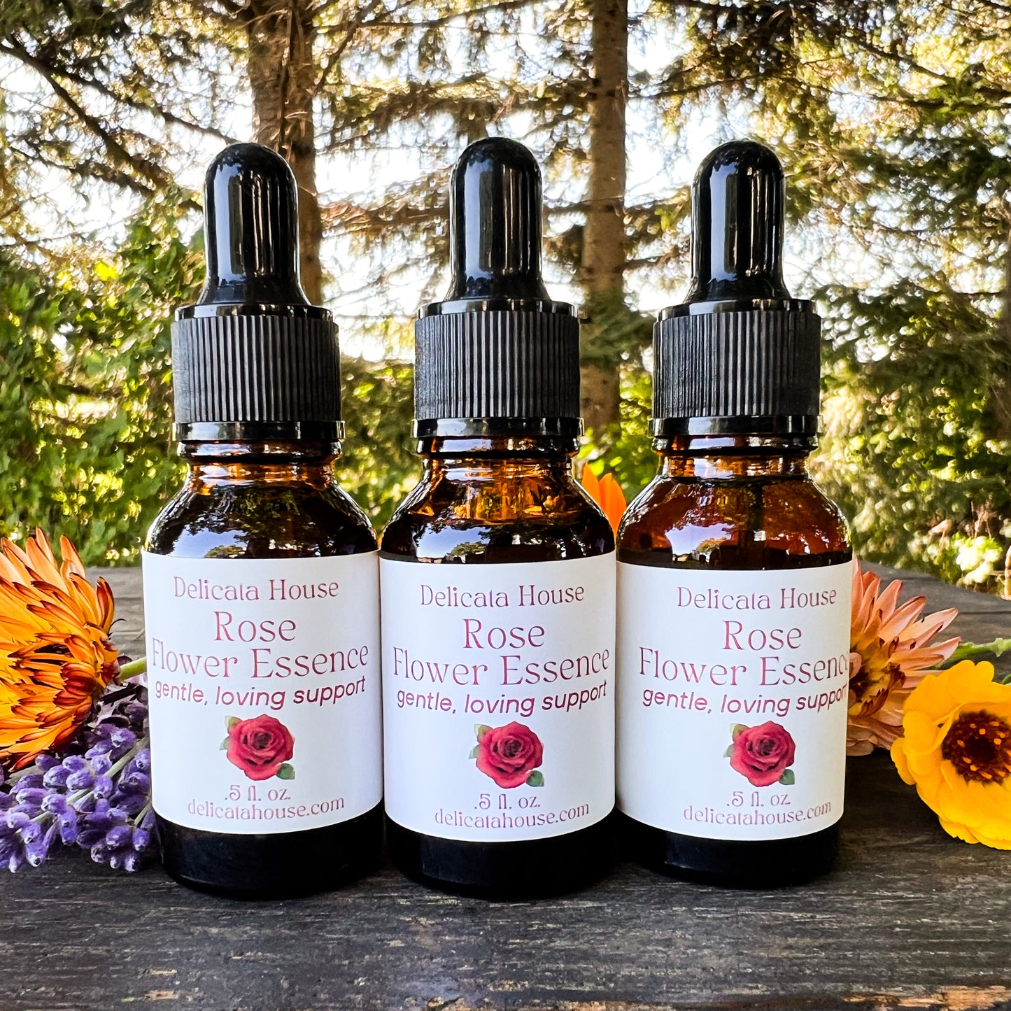 Rose Flower Essence - Rose Flower Remedy - 4th Chakra Support - Heart Chakra Support - Rose Flower Elixir - Flower Essence