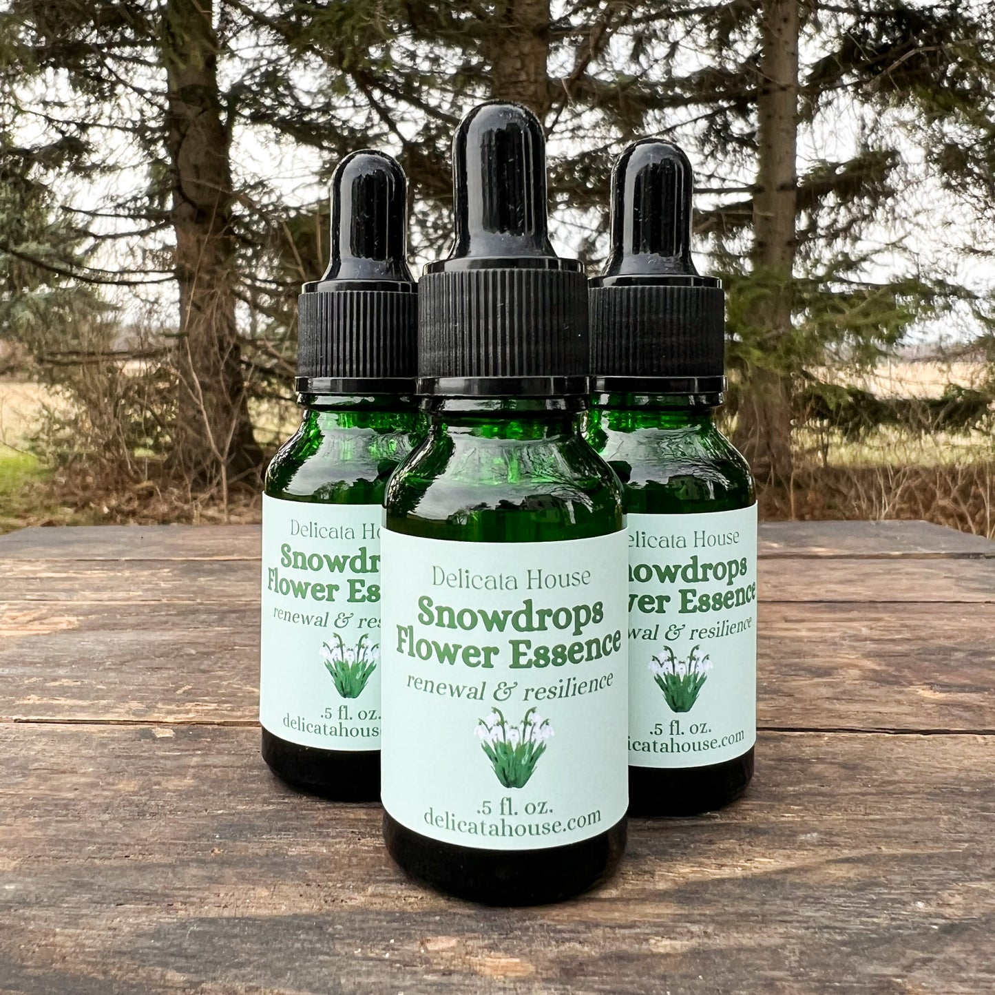 Snowdrops Flower Essence - Snowdrops Flower Remedy - Flower Medicine Gift